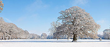 尤文图斯客场告捷，争冠形势一片大好