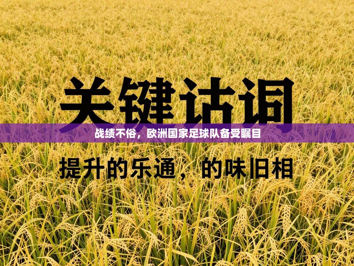 战绩不俗，欧洲国家足球队备受瞩目